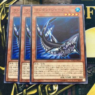 マドレース1189ランタン・シャーク ノーマル