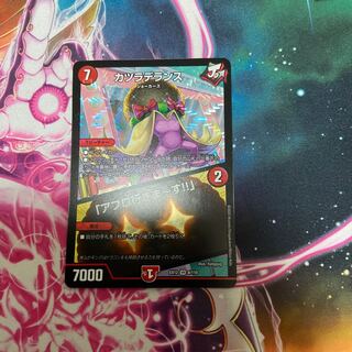 カツラデランス｜「アフロ行きまーす!!」