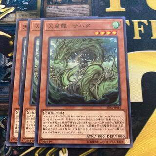 Madras 1238 Tenwei Ryu - Nahata Normal