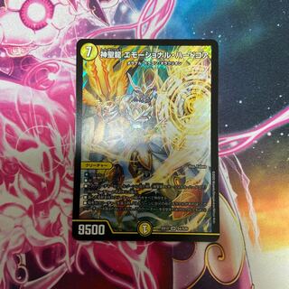 神聖龍 エモーショナル・ハードコア