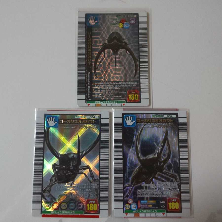 コーカサスオオカブト3枚まとめ売り