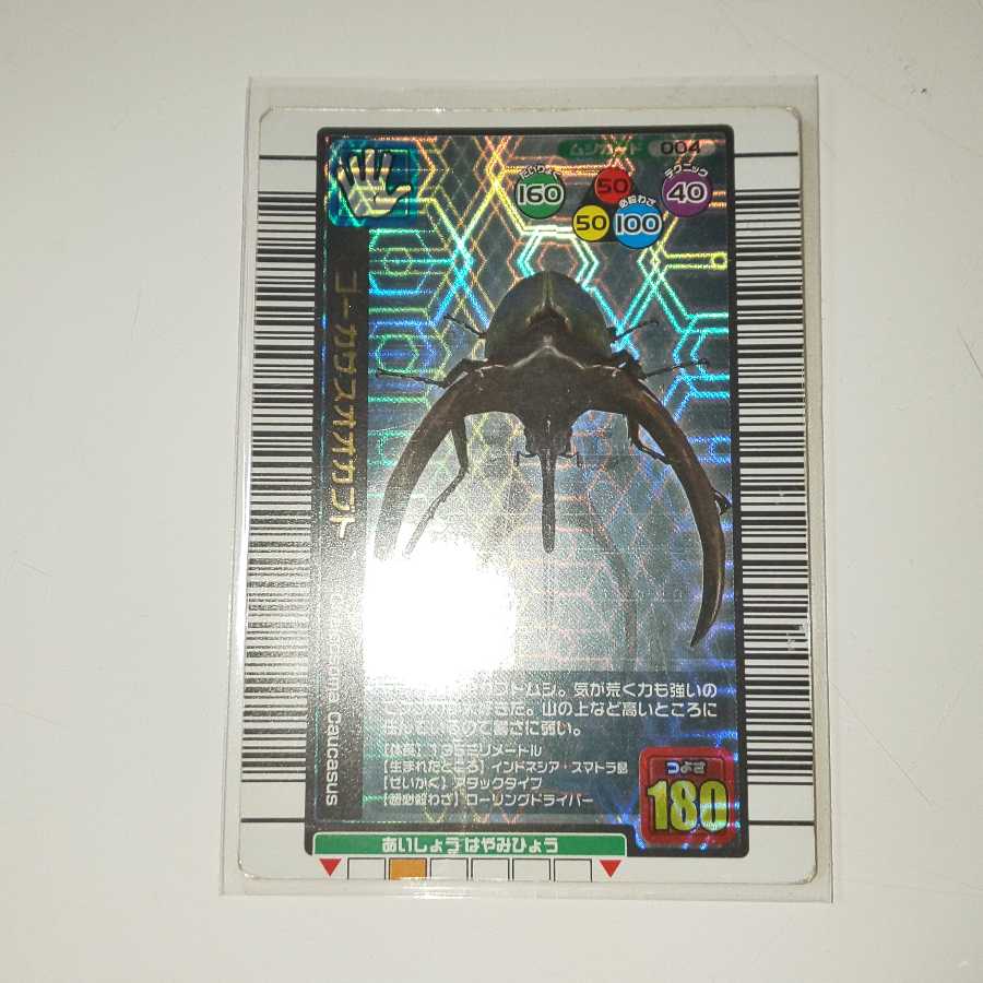 コーカサスオオカブト3枚まとめ売り