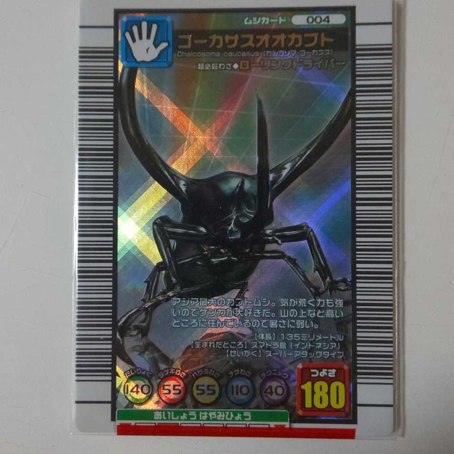 コーカサスオオカブト3枚まとめ売り