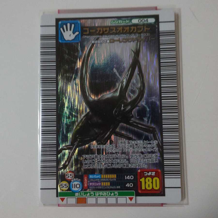 コーカサスオオカブト3枚まとめ売り