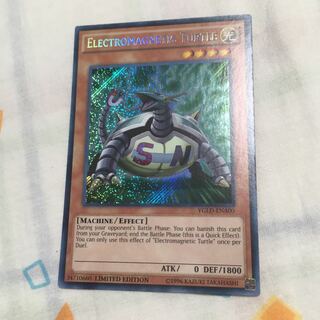 Electromagnetic Turtle Secret