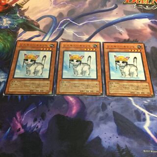 レスキューキャット ノーマル