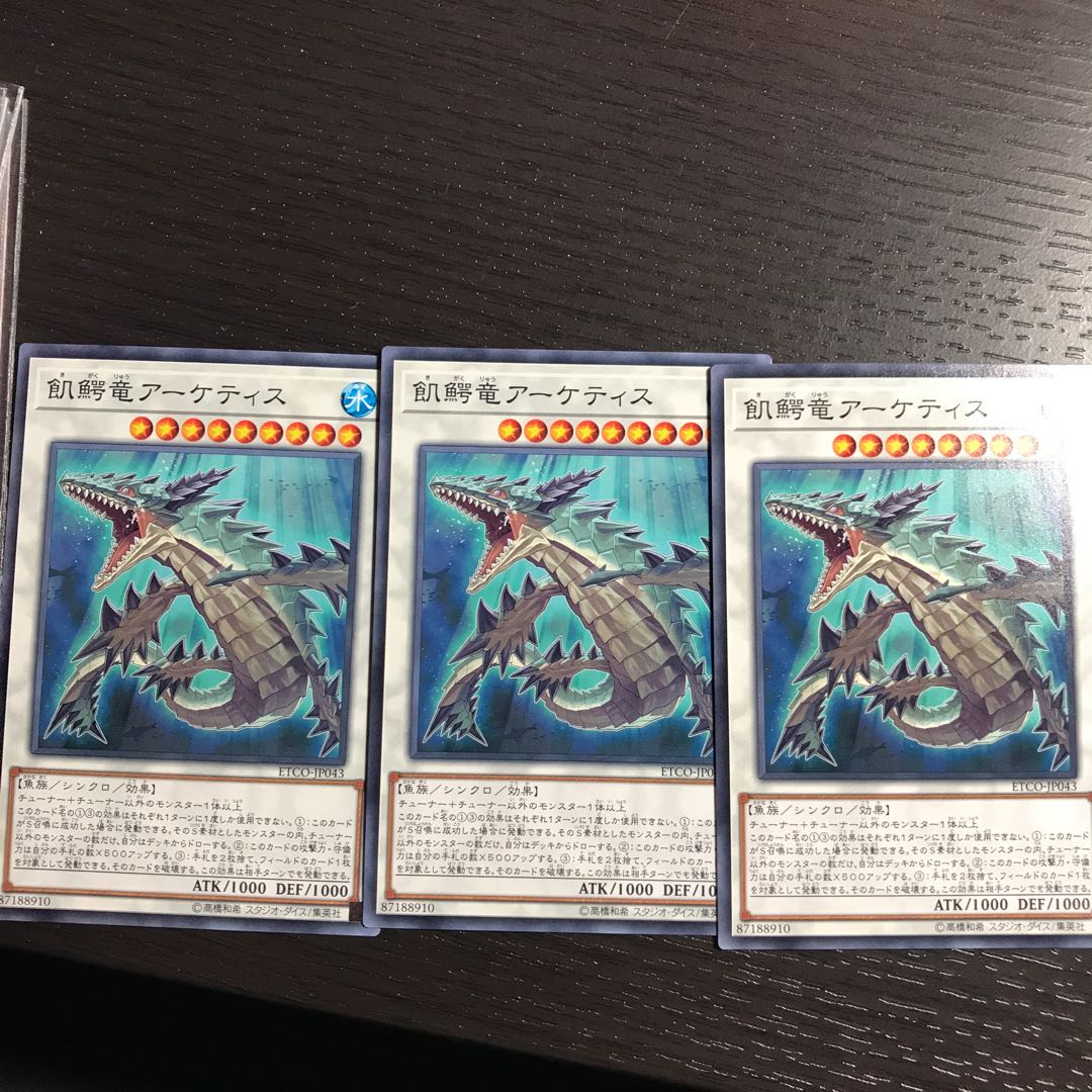 飢鰐竜アーケティス