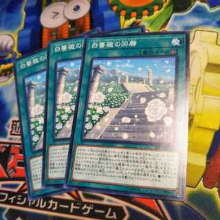 Yu-Gi-Oh! White Rose Cloister