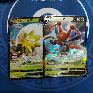 コロトックV　ワタシラガV　各１枚