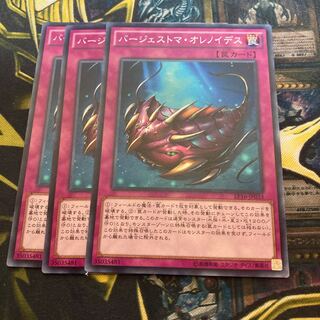 マドレース1405バージェストマ・オレノイデス ノーマル