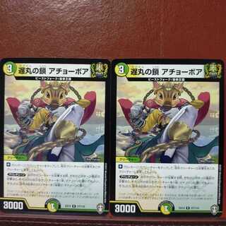 Fnl034セット割引　遅丸の鎖 アチョーボア