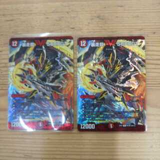 暴走龍 5000GT2枚セット