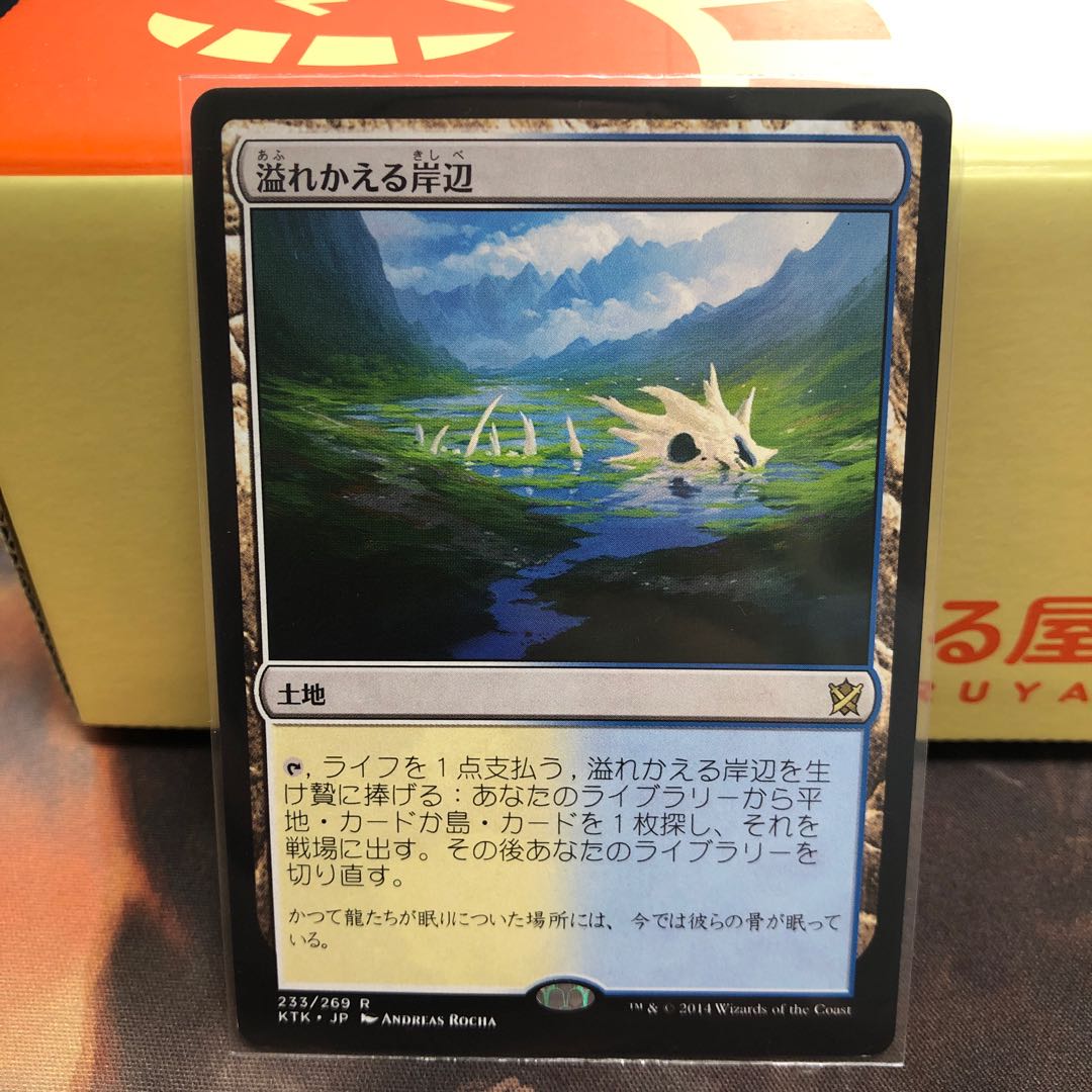 溢れかえる岸辺【日本語】