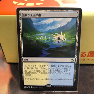 溢れかえる岸辺【日本語】