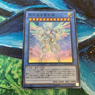 崇光なる宣告者