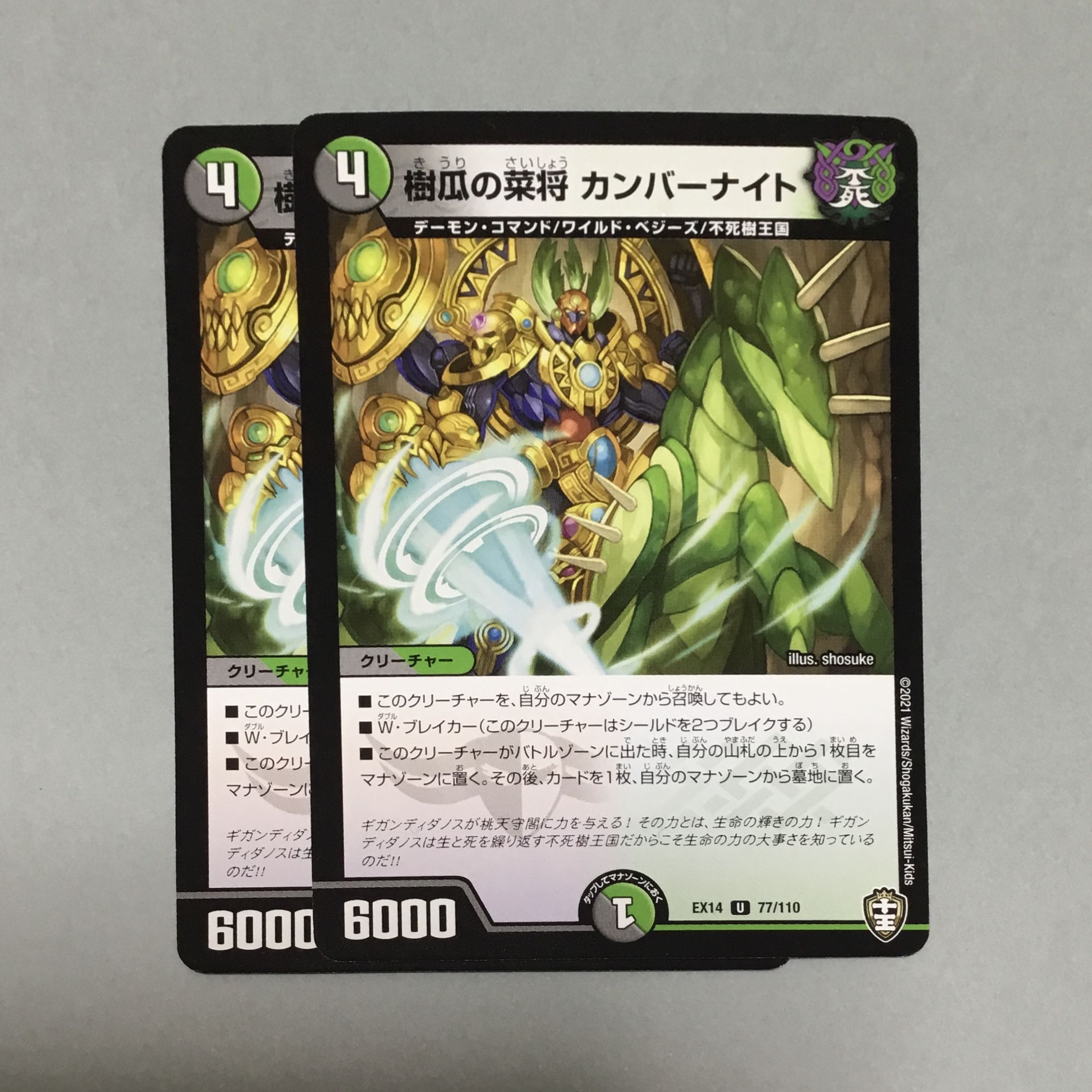 樹瓜の菜 カンバーナイト 2枚の通販 複数同時購入30円引き しんどう Magi トレカ専用フリマアプリ