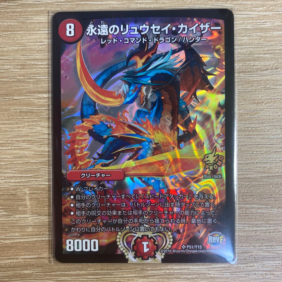 The Eternal Ryusei Kaiser