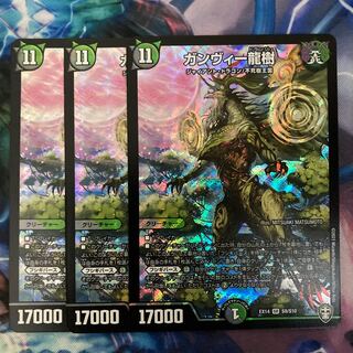 ガンヴィー龍樹