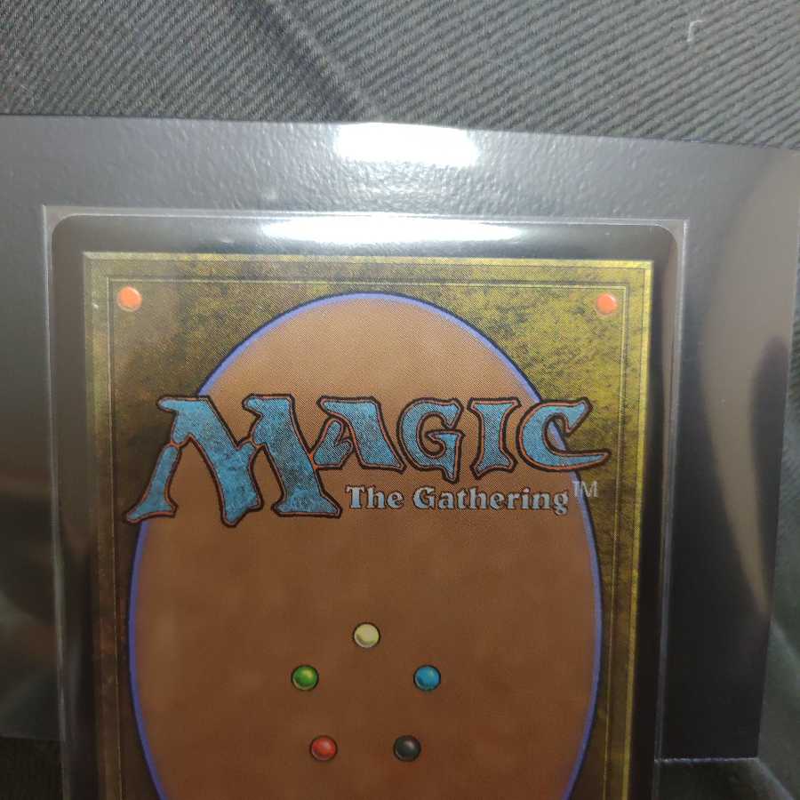 黄金架のドラゴン　MTG 　英語版　Goldspan dragon