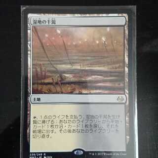 MtG モダンマスターズ2017 湿地の干潟 レア 日本語 1枚