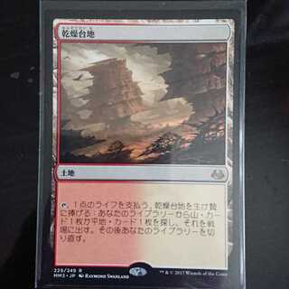 MtG モダンマスターズ2017 乾燥台地 レア 日本語 1枚 ②