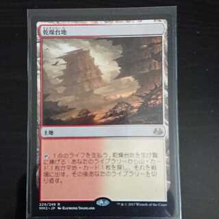 MtG モダンマスターズ2017 乾燥台地 レア 日本語 1枚 ③