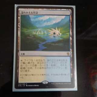 MtG タルキール覇王譚 溢れかえる岸辺 レア 日本語 1枚 ②