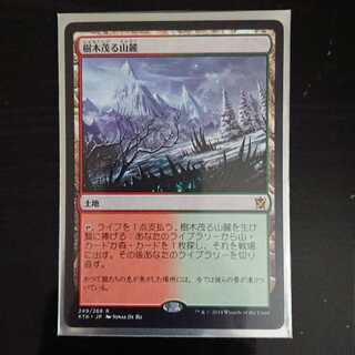 MtG タルキール覇王譚 樹木茂る山麓 レア 日本語 1枚 ①
