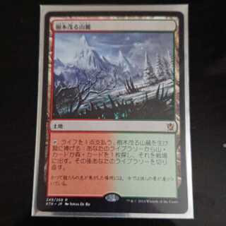 MtG タルキール覇王譚 樹木茂る山麓 レア 日本語 1枚 ②