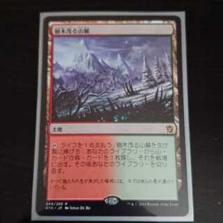 MtG タルキール覇王譚 樹木茂る山麓 レア 日本語 1枚 ③