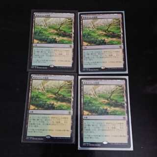 MtG タルキール覇王譚 吹きさらしの荒野 レア 日本語 4枚セット ①