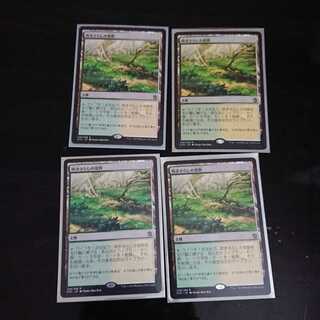 MtG タルキール覇王譚 吹きさらしの荒野 レア 日本語 4枚セット ②