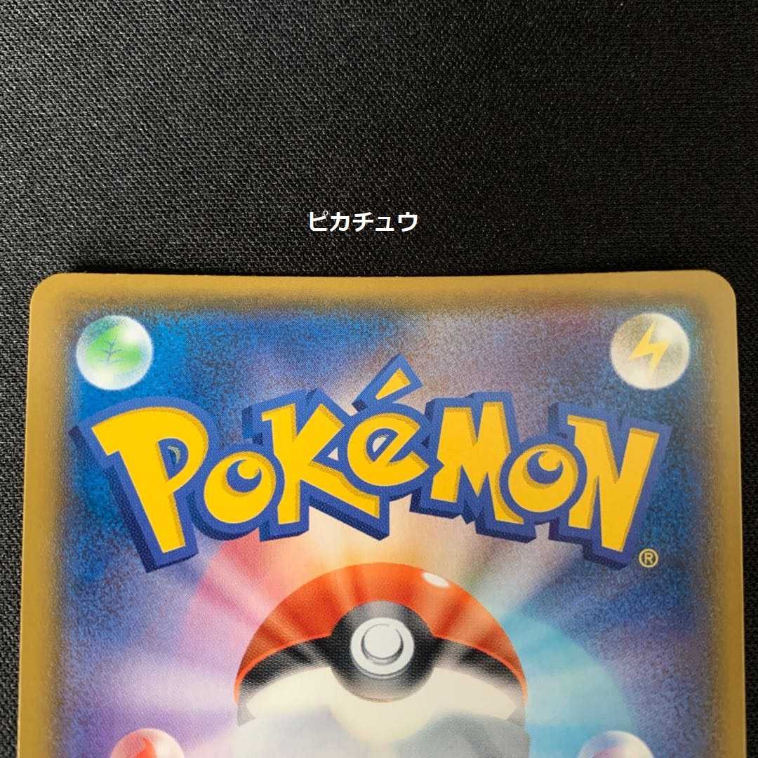 アローラの仲間たち ピカチュウ セット