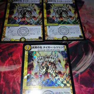 真実の名 タイガー・レジェンド