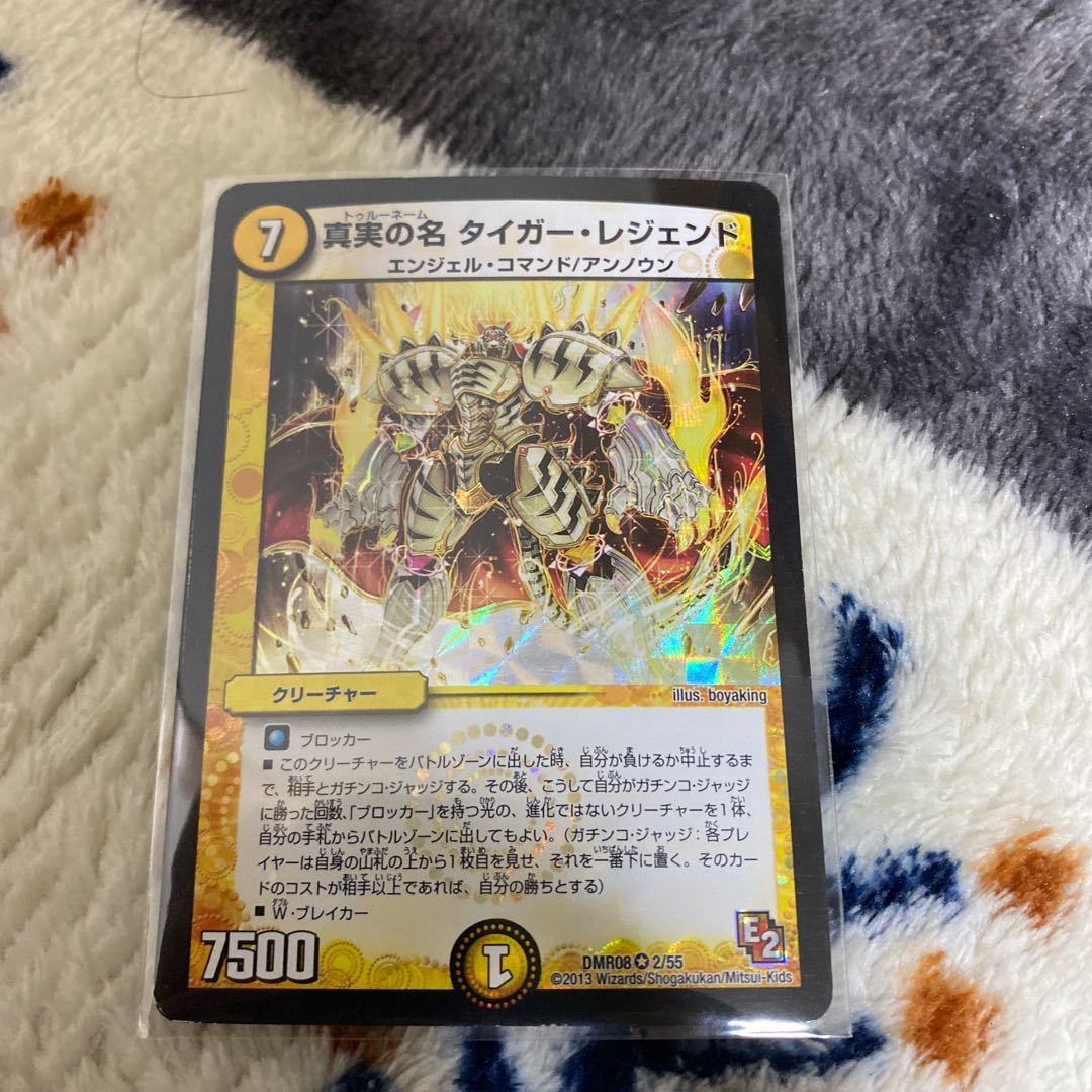 真実の名 タイガー・レジェンド VR