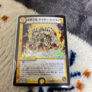 真実の名 タイガー・レジェンド VR