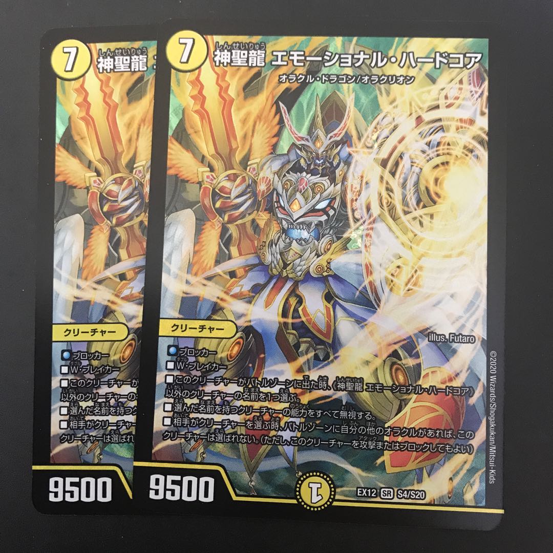 神聖龍 エモーショナル・ハードコア 2枚