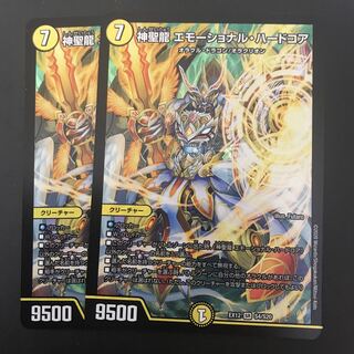 神聖龍 エモーショナル・ハードコア 2枚