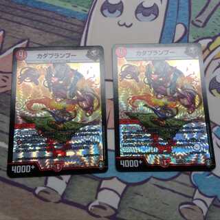 カダブランプー 1枚