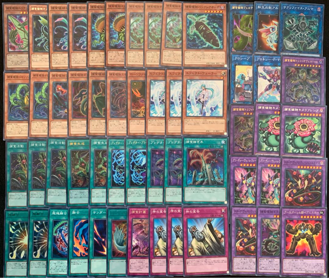 捕食植物デッキ