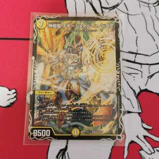 神聖龍 エモーショナル・ハードコア