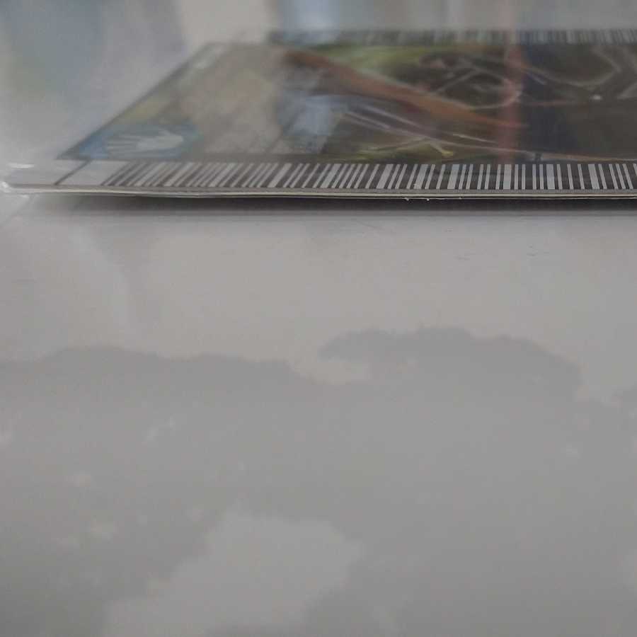 ヘルクレスオオカブト 2006セカンド～パーフェクトキング～