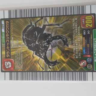 タランドゥスツヤクワガタ 2005ファースト