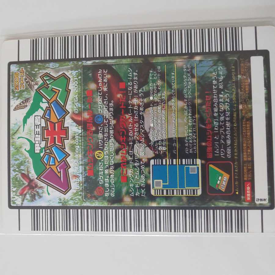 タランドゥスツヤクワガタ 2005ファースト