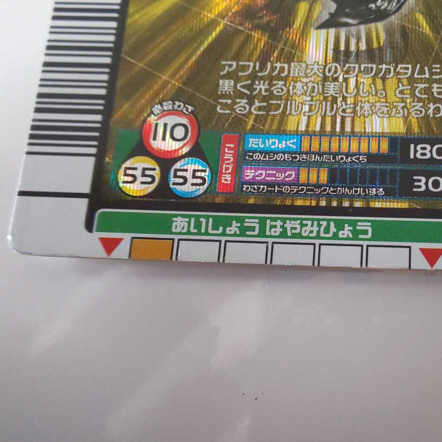 タランドゥスツヤクワガタ 2005ファースト