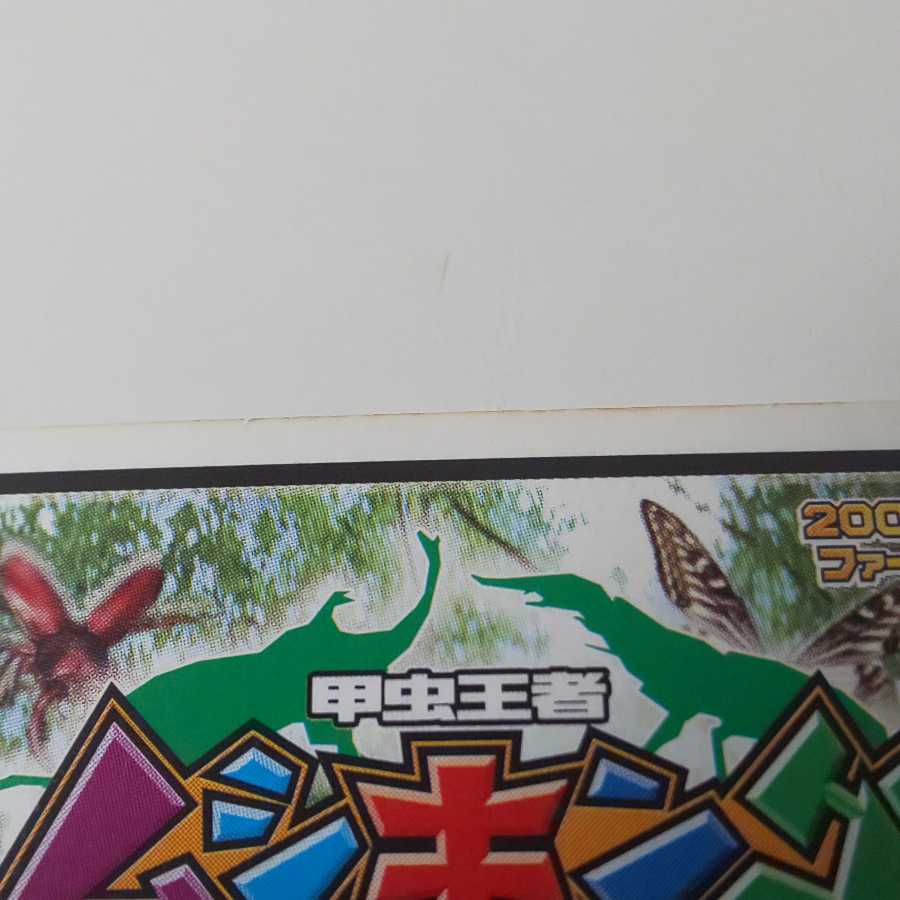 タランドゥスツヤクワガタ 2005ファースト