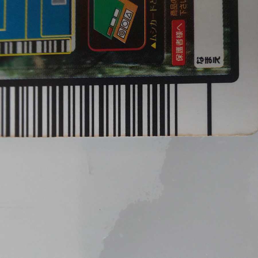 タランドゥスツヤクワガタ 2005ファースト