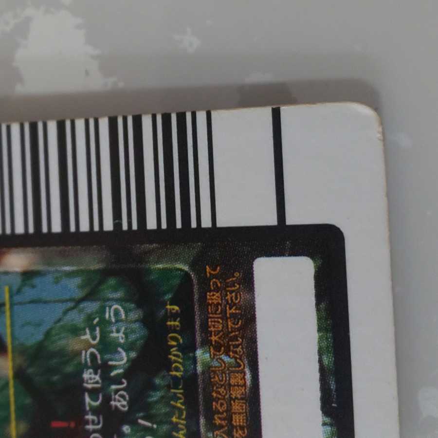 タランドゥスツヤクワガタ 2005ファースト