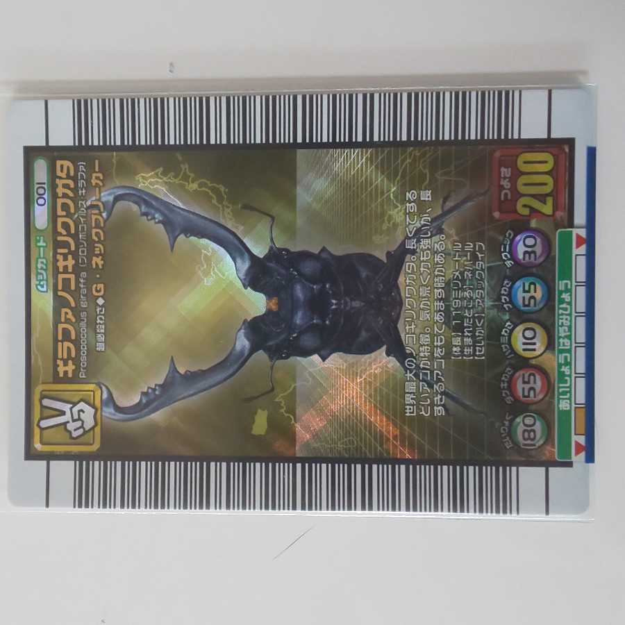 ギラファノコギリクワガタ 2005セカンドプラス