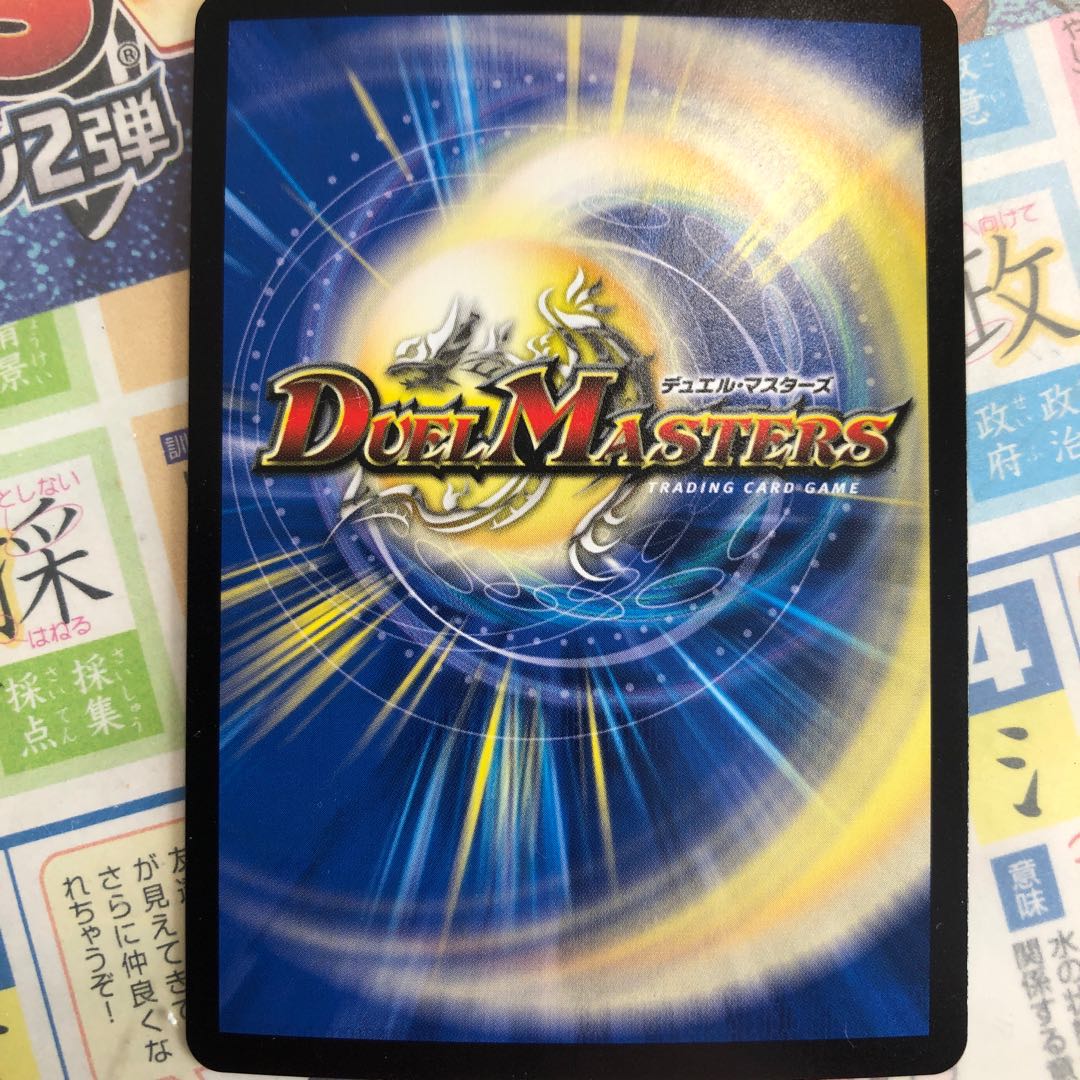 「雷光の聖騎士」 SR